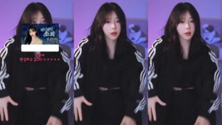 Korean BJ thwl9386 2025-08-03 bkjdance