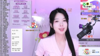 Korean BJ vnfmadl93 2025-06-27 bkjdance